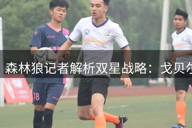 森林狼记者解析双星战略：戈贝尔筑牢防线 三球激活进攻潜能
